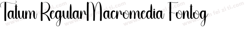 Tatum RegularMacromedia Fontographe字体转换
